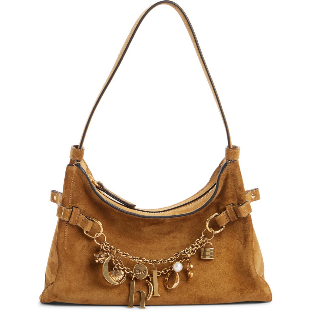 Chloé Womens Gold Khaki Charms Suede Hobo Bag In Brown