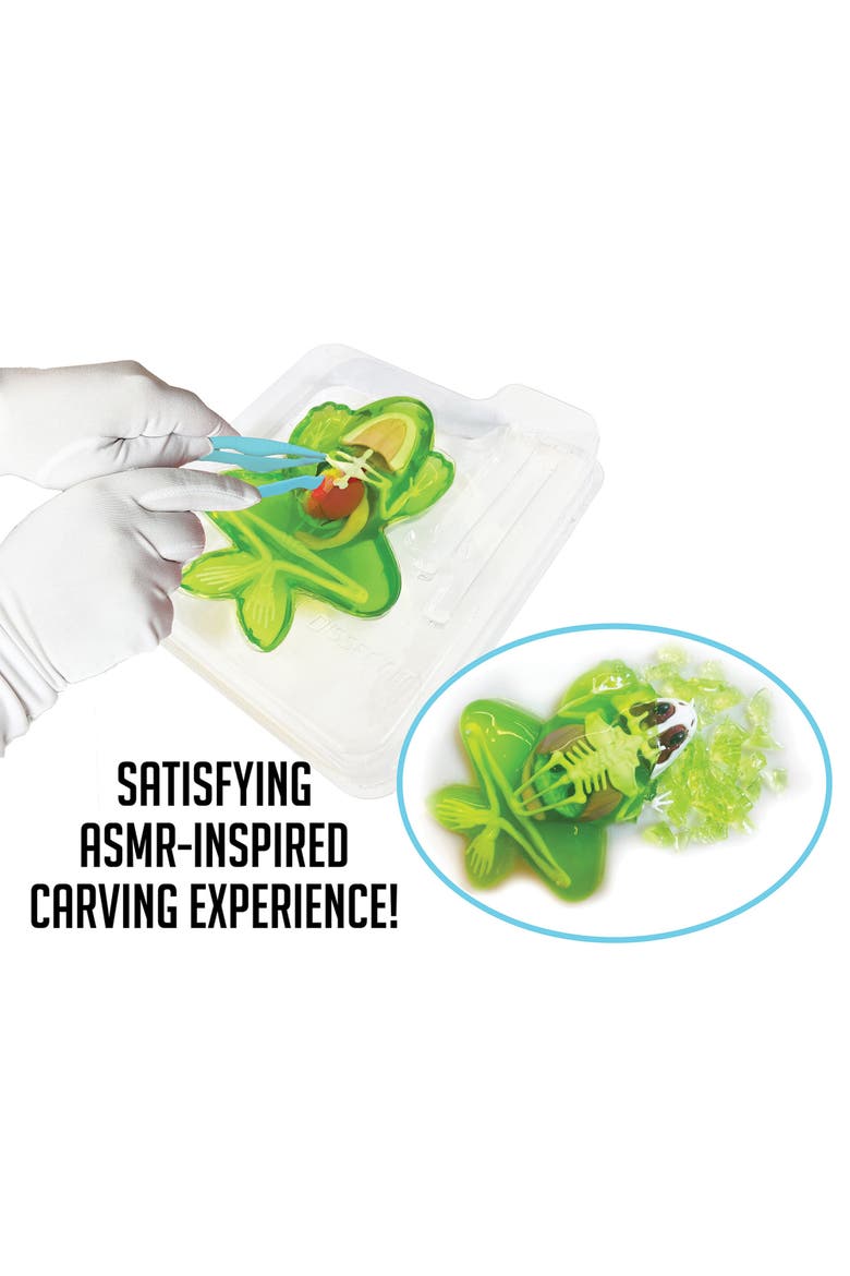 Dissect it Frog Lab, Science Kit, Ages 6+, Alternate, color, Multicolored