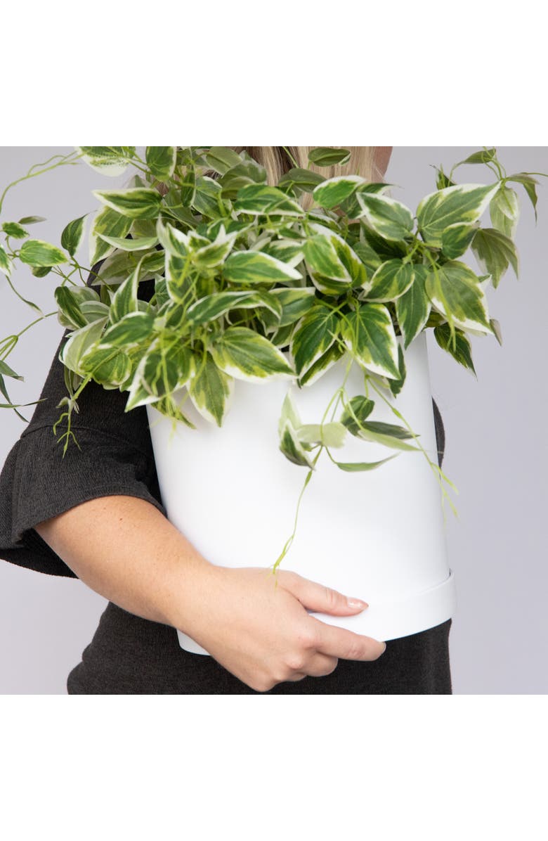 Bloem Mathers Gardening Planter with Saucer Tray  9.5 Inch W x 9.5 Inch H, White, Alternate, color, White