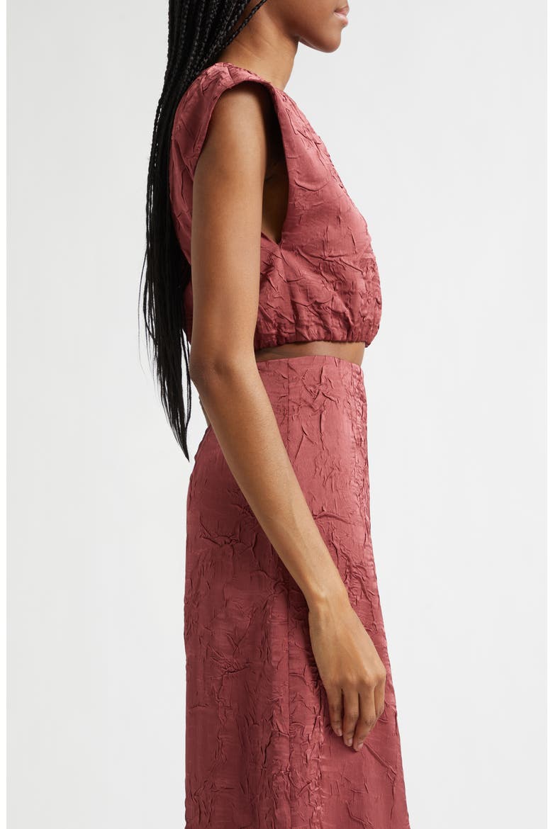 Gisella Crinkle Satin Crop Top, Alternate, color, FIG
