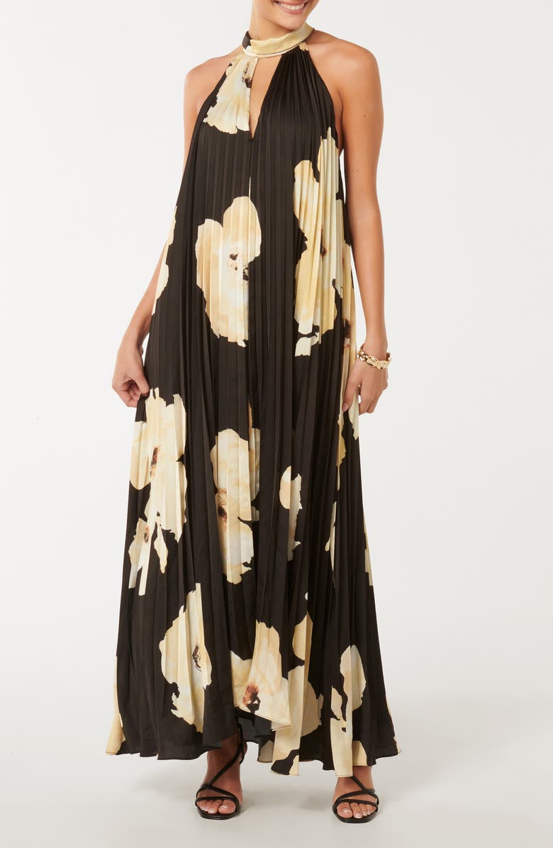 Ever New Saylor Floral Pleated Maxi Dress, Main, color, 