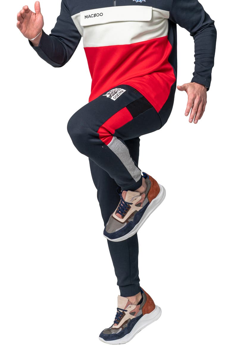 Colorblock Fleece Joggers, Alternate, color, BLUE