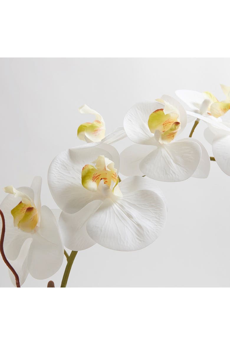Artificial White Double Stem Orchid, Alternate, color, White and Grey