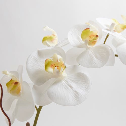 Cg Hunter Artificial White Double Stem Orchid In Multi