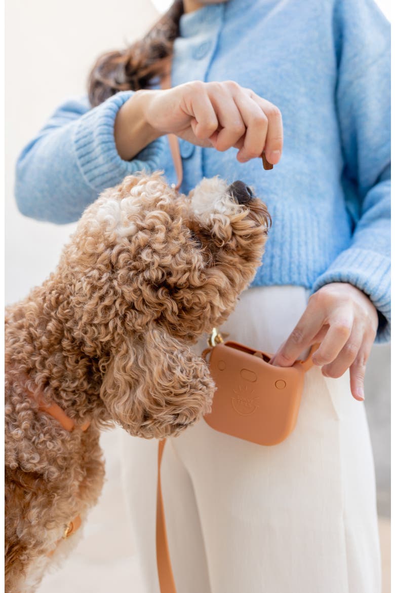 Dog Treat Pouch, Alternate, color, CHAI BROWN
