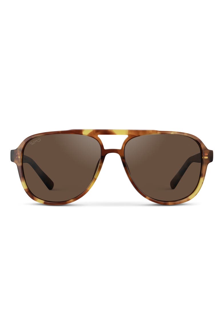 Indie - 57mm Aviator Polarized Sunglasses, Main, color, Honeycomb Tortoise