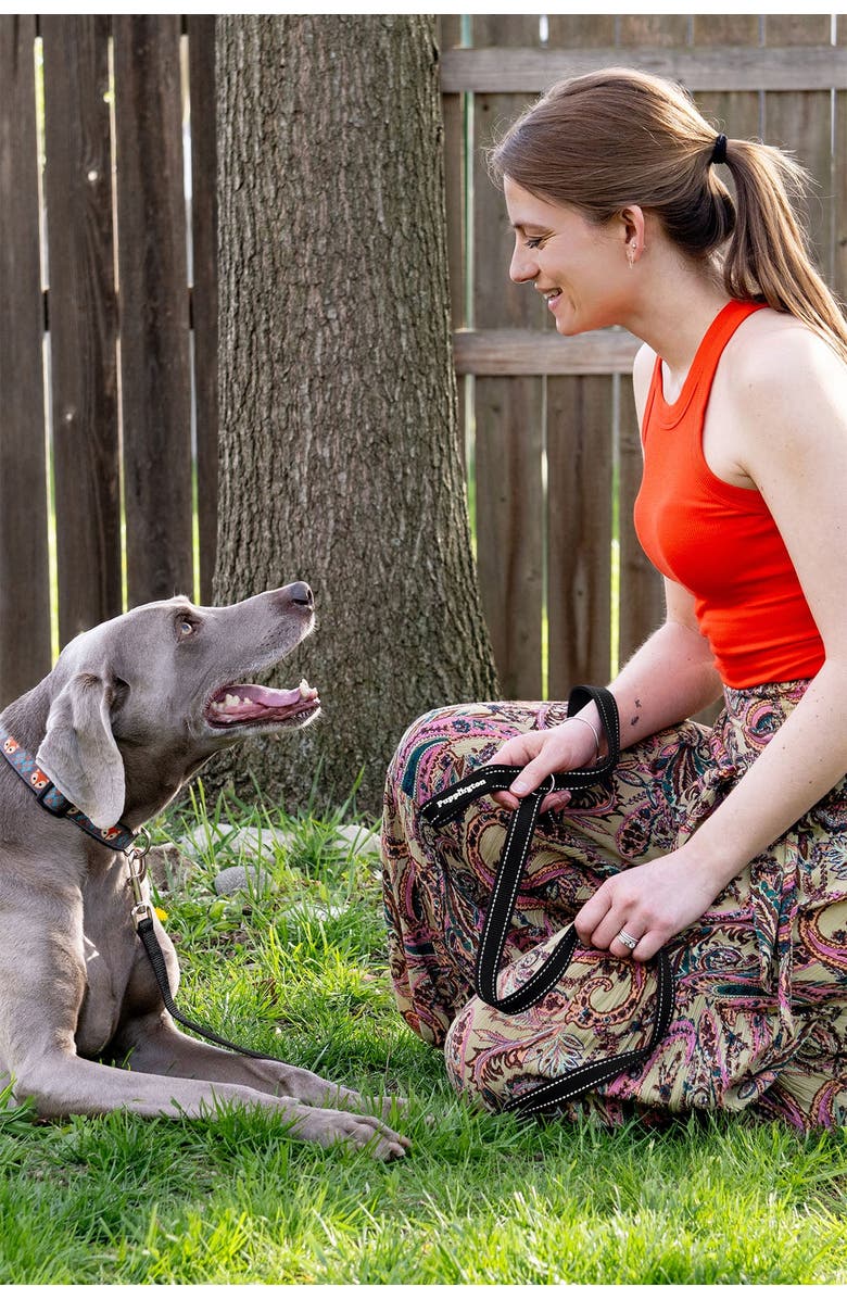 Puppington Reflective Leash, Alternate, color, 