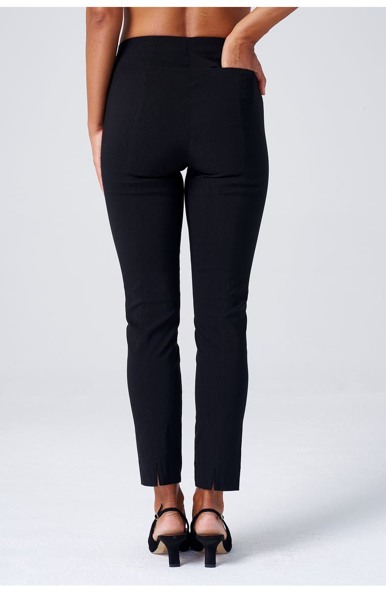 Franne Golde All Season Slim Stretch Ankle Pant with Back Slit, Alternate, color,