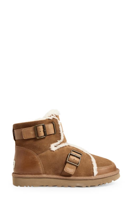 Ugg ® Dune Mini Buckle Plush Bootie In Animal Print