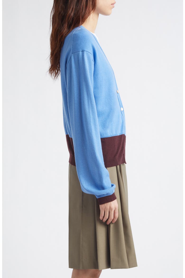 Colorblock Wool V-Neck Cardigan, Alternate, color, BLUE