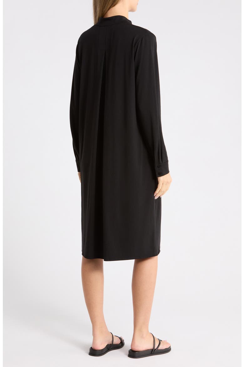 Long Sleeve Shift Dress, Alternate, color, BLACK