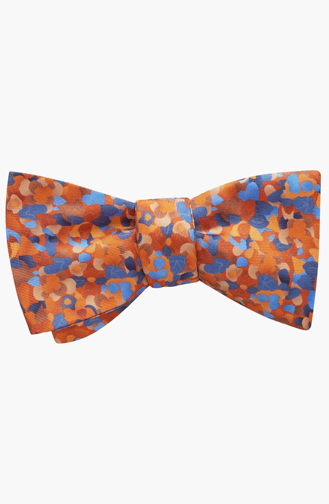 Fall Mountain Bow Tie