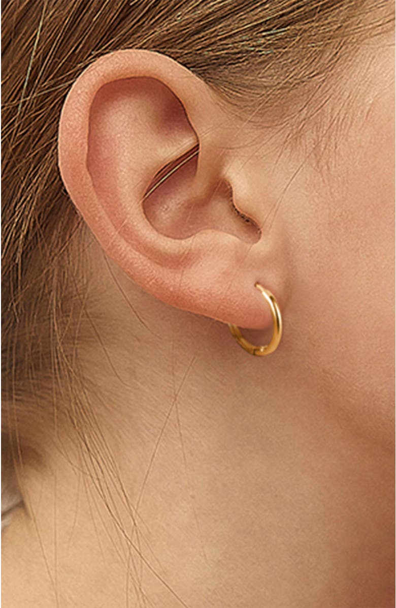 In Season Jewelry 14k The Tiny Hoop Earrings, Alternate, color, Gold