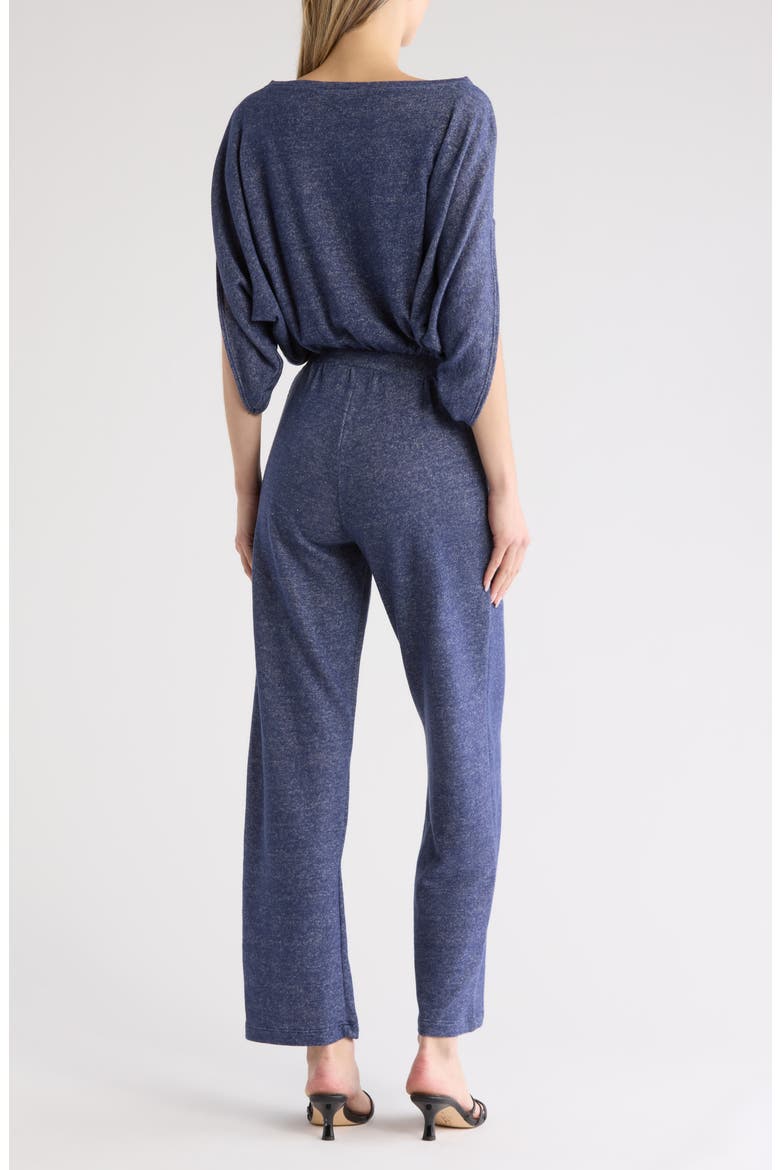 Raglan Sleeve Jumpsuit, Alternate, color, NAVY