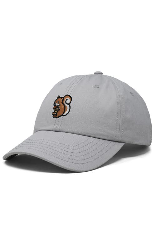 Shop Dalix Squirrel Embroidered Outdoor Cap In Gray