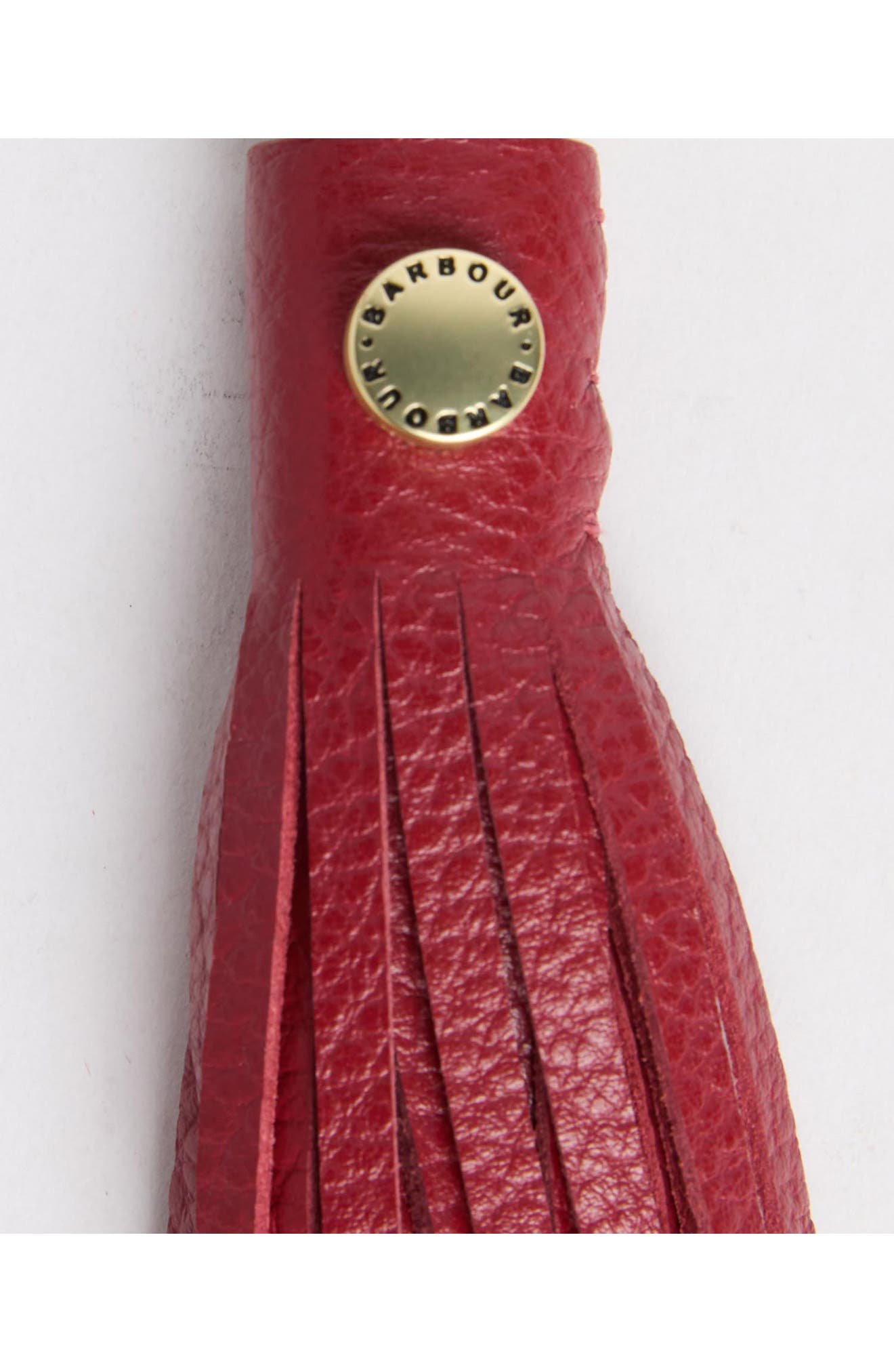 Tassel Leather Bag Charm, Alternate, color, RED