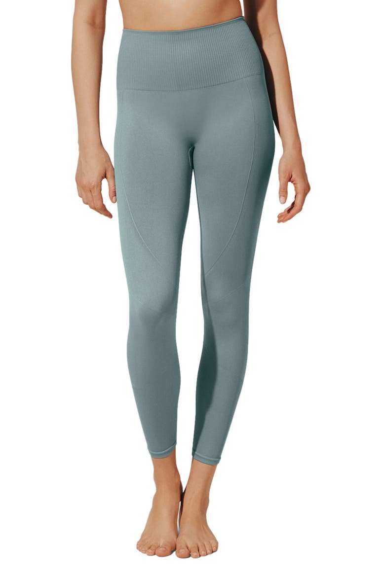 Flex Seamless Compression Leggings, Main, color, STORM
