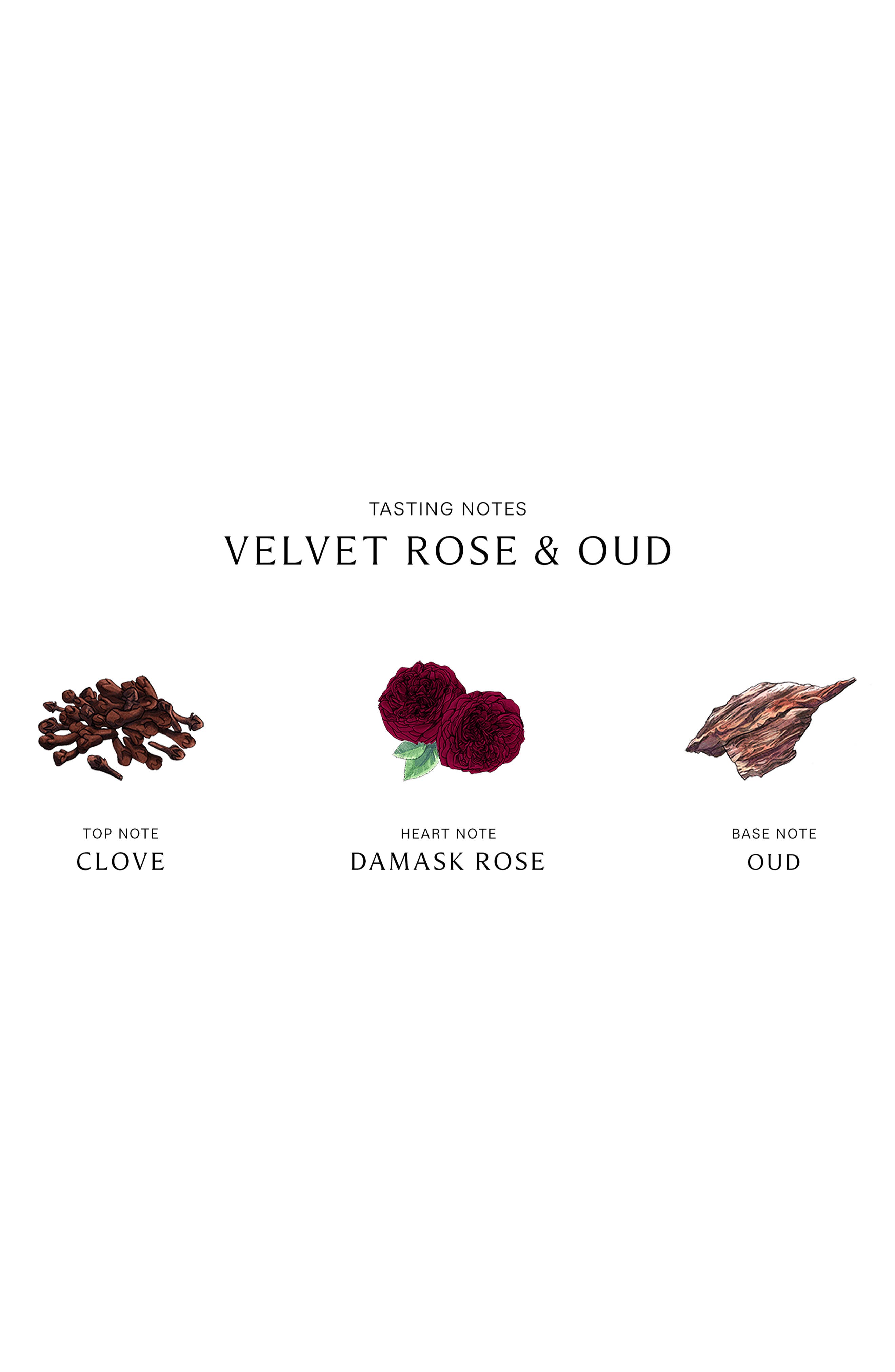 Velvet Rose & Oud Cologne Intense | Nordstrom