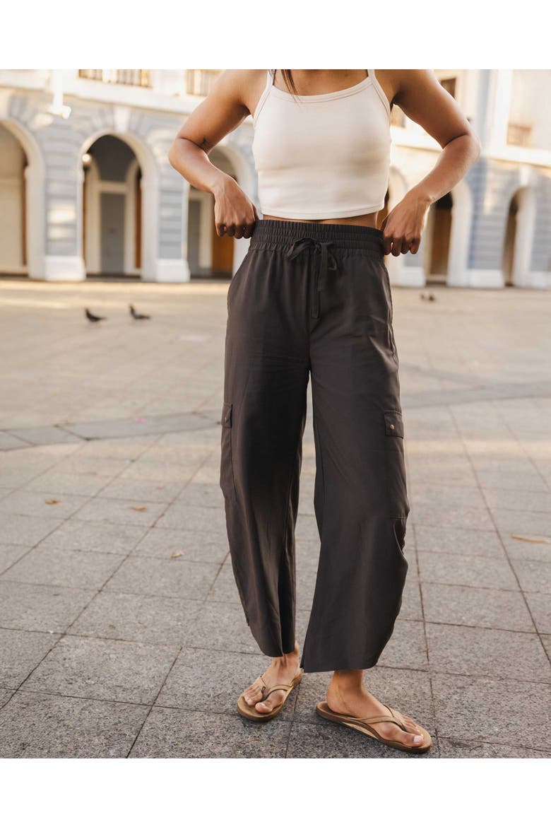 Trekker Pant, Alternate, color, Terra
