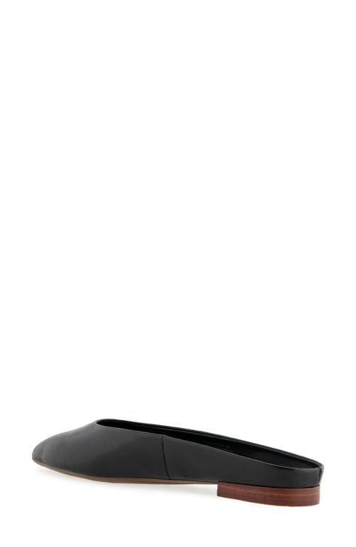 AEROSOLES AEROSOLES AMARA MULE