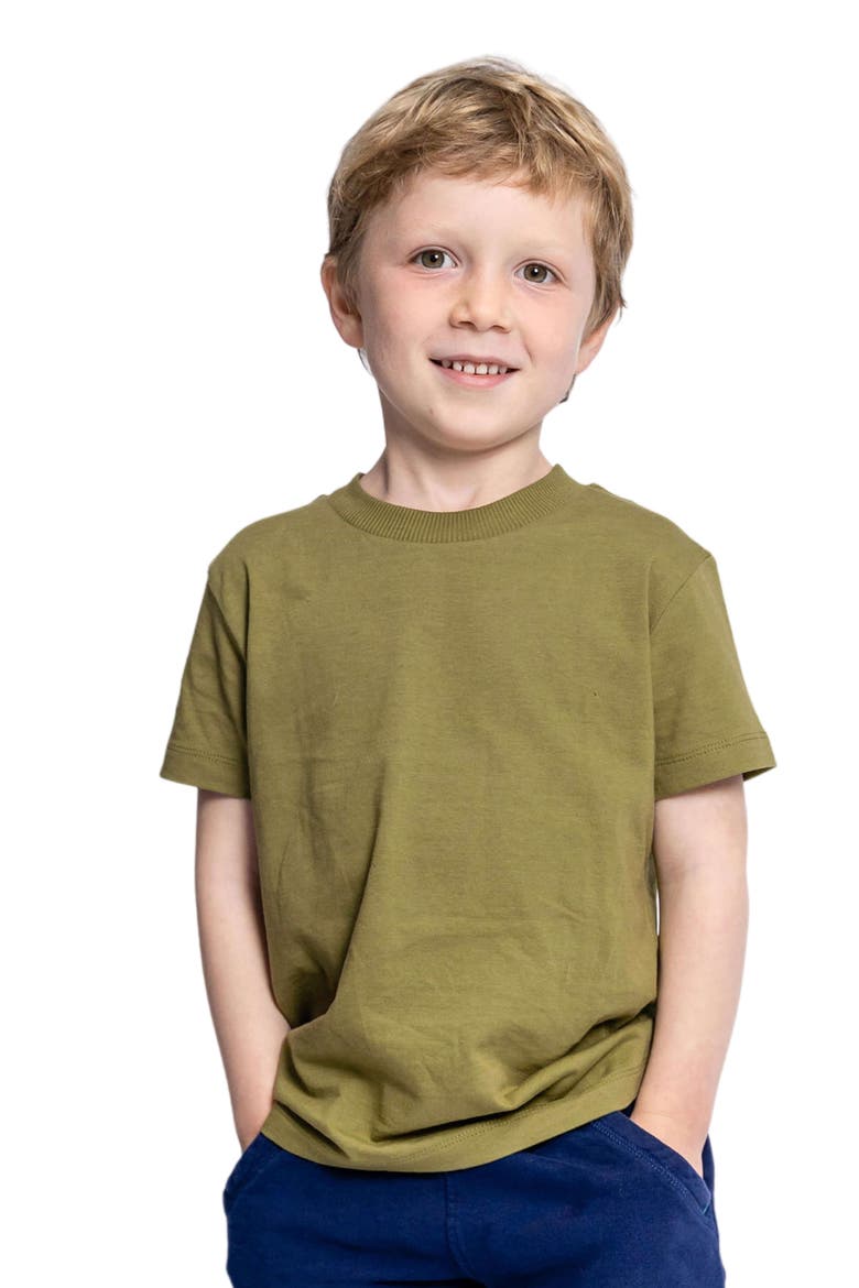 Organic Cotton Kids Short Sleeve T-Shirt 3-pack, Alternate, color, Blue, Gray and Olive
