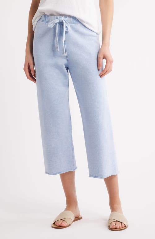 FRANK & EILEEN FRANK & EILEEN CATHERINE CROP WIDE LEG SWEATPANTS 