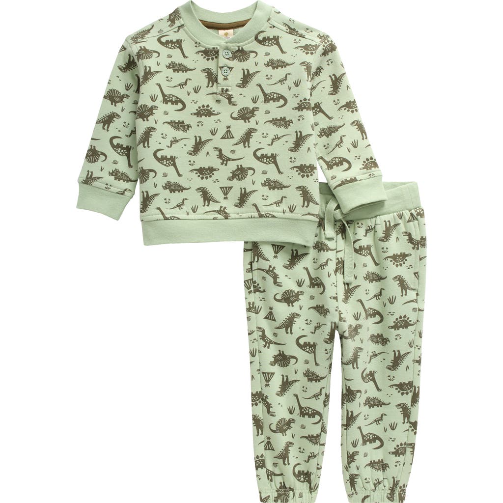 Tucker + Tate Dinosaur Print Henley Sweatshirt & Sweatpants Set in Green Frozen Paper Dinos