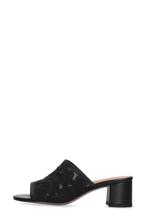 Bibi Lou Amira Slide Sandal In Multi