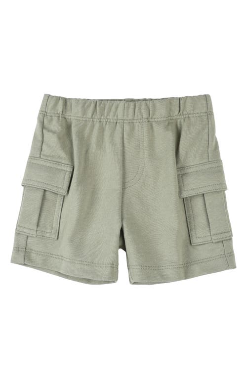 Pl Baby By Petit Lem Graphic T-shirt, Cargo Shorts & Cap Set In Olive Dino