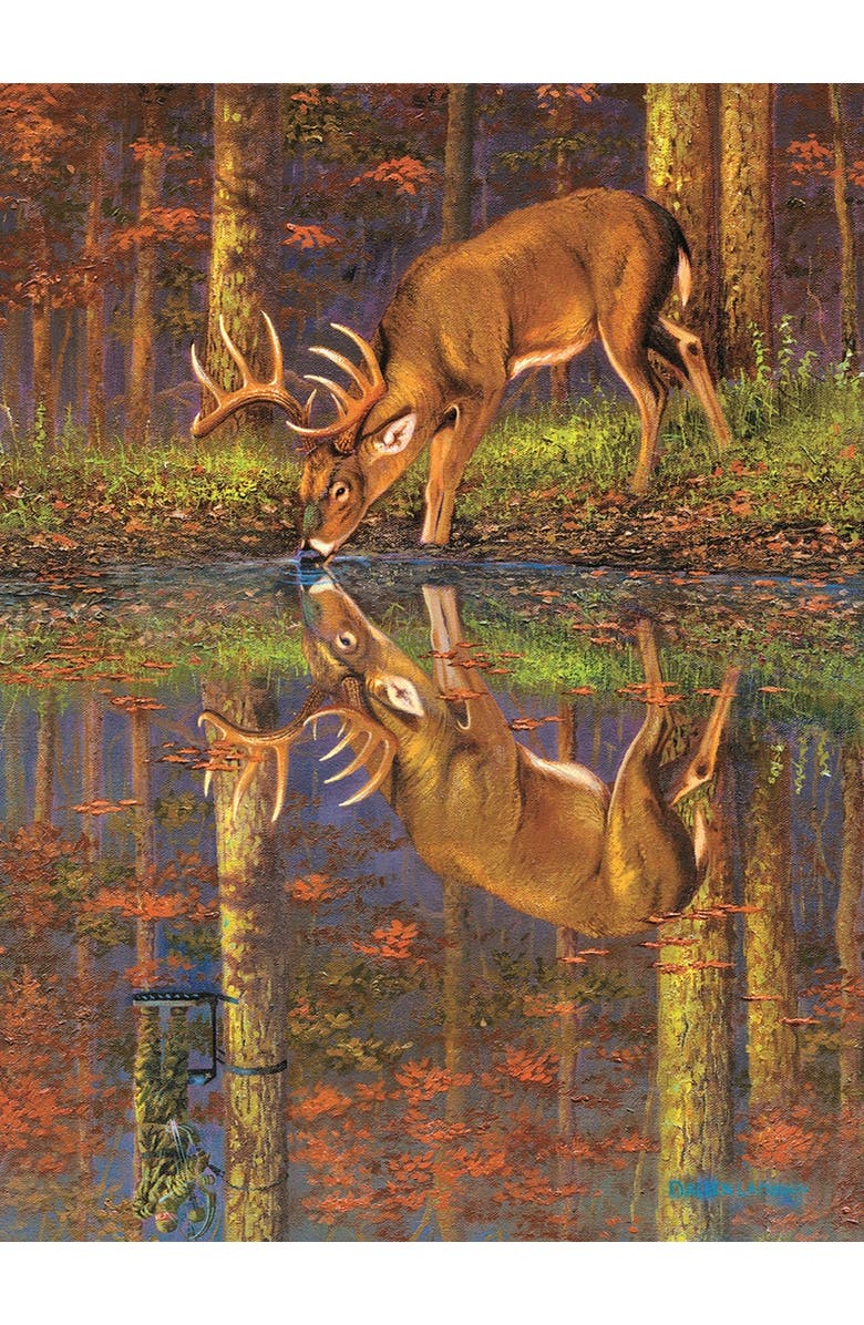 Sunsout What Lies Below? 1000 piece Jigsaw Puzzle for Adults, Alternate, color, Multicolor