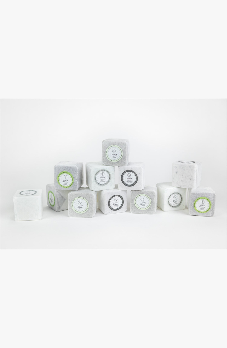 Lizush Earthy Shower Steamer Gift Box, Set of 12, Alternate, color, Earthy Tones