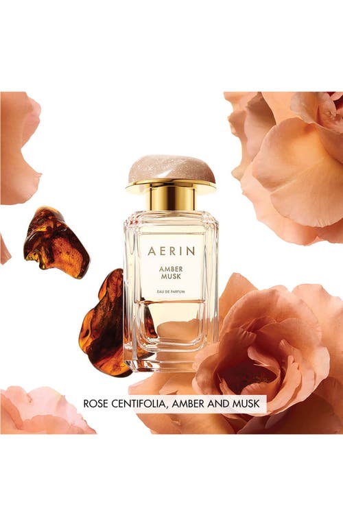 Estée Lauder Amber Musk Eau De Parfum Set $225 Value In Transparent