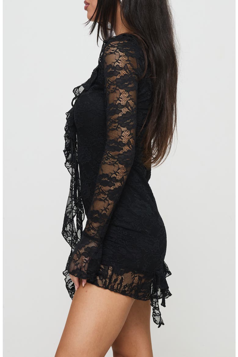 Braun Embroidered Lace Long Sleeve Minidress, Alternate, color, BLACK