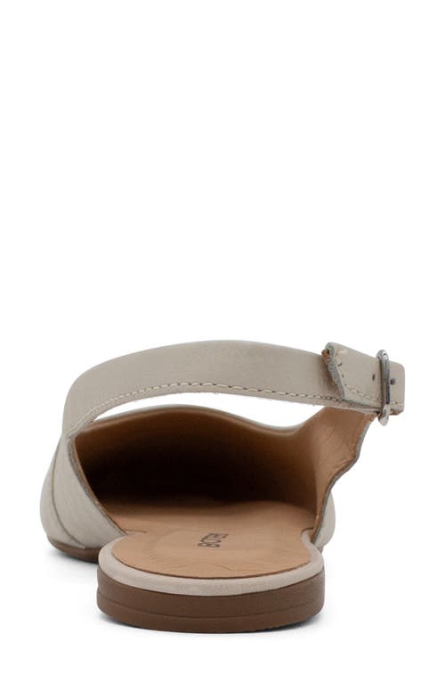 Bottero Botsamya Xxiv Slingback Flat