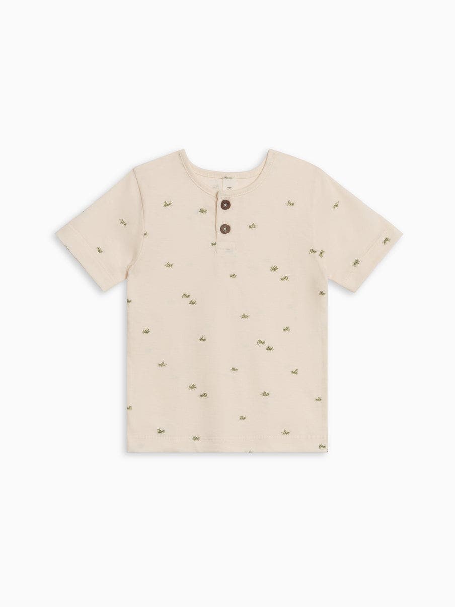 selected Grasshopper / Fern + Mint