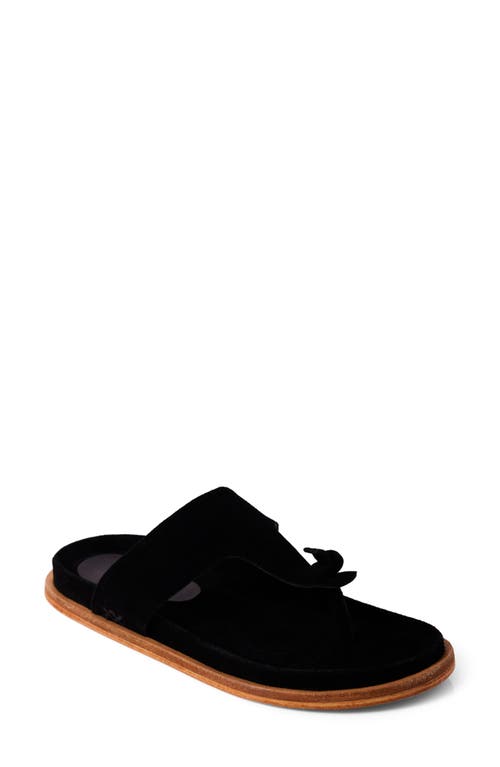 Shop Free People Mika Flip Flop In Black Suede