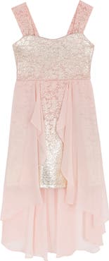 Rare Editions Kids' Floral Lace & Chiffon Dress