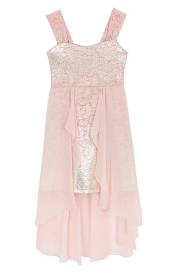 Rare Editions Kids' Floral Lace & Chiffon Dress In Pink