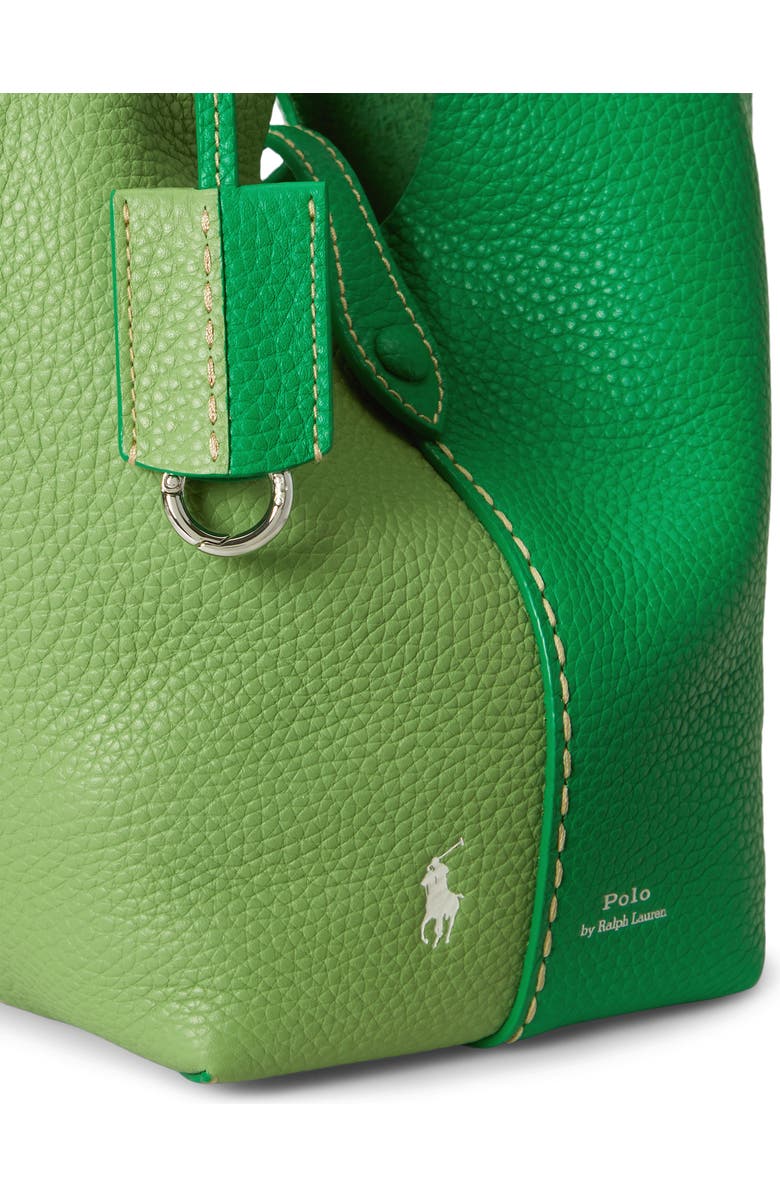 Polo Ralph Lauren Polo Play Leather Crossbody Bag, Alternate, color, Parrot/ Parakeet