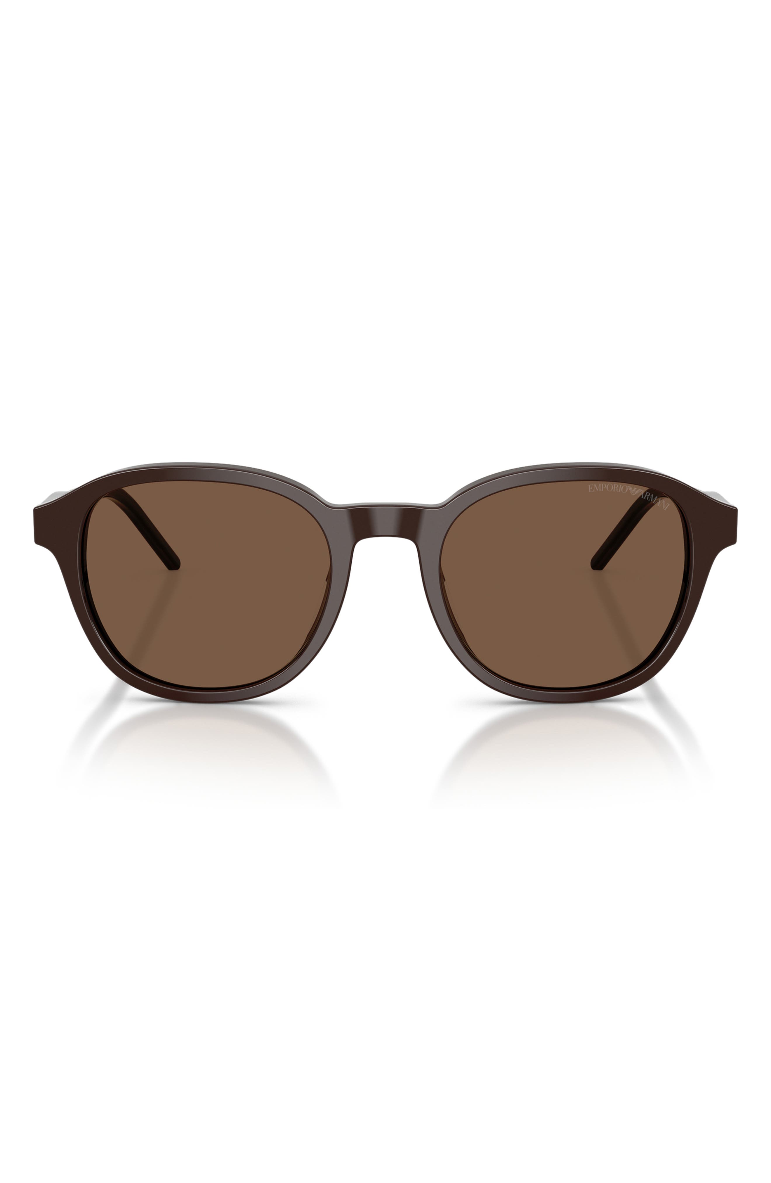 SHINY BROWN / BROWN