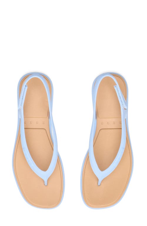 Reef Water Willow Maya Slingback Sandal In Blue