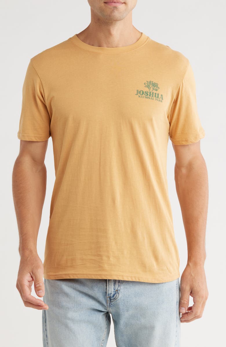 Goodie Two Sleeves Joshua Tree Cotton Graphic T-Shirt, Main, color, Old Gold