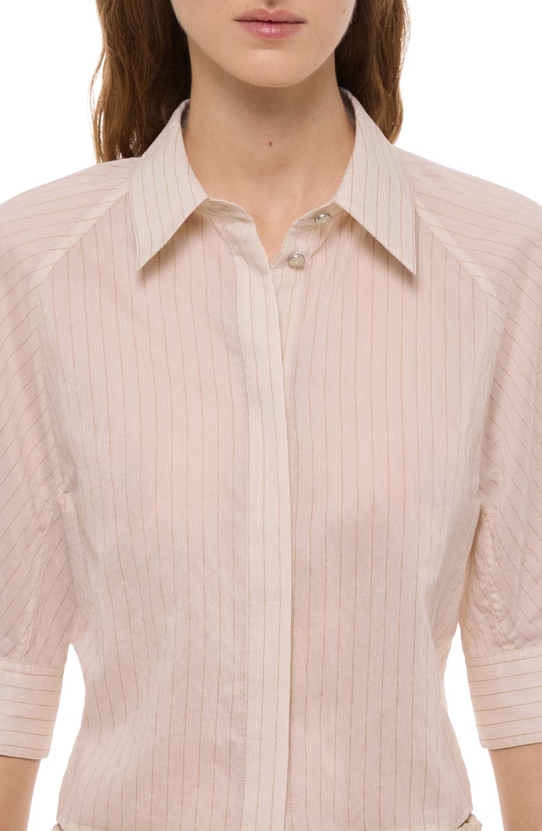 Helmut Lang Semi-Sheer Stripe Button-Up Crop Top, Alternate, color, 