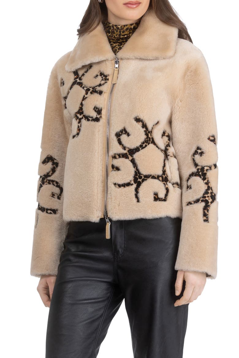 Genuine Shearling Jacket with Gorski Insignia Intarsia, Reversible, Main, color, PALOMINO/LPRD