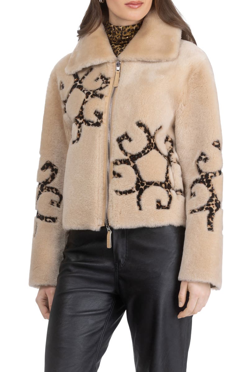 GORSKI Genuine Shearling Jacket with Gorski Insignia Intarsia, Reversible, Main, color, Palomino/Lprd