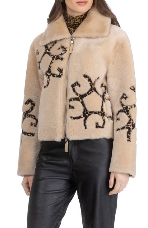 Genuine Shearling Jacket with Gorski Insignia Intarsia, Reversible