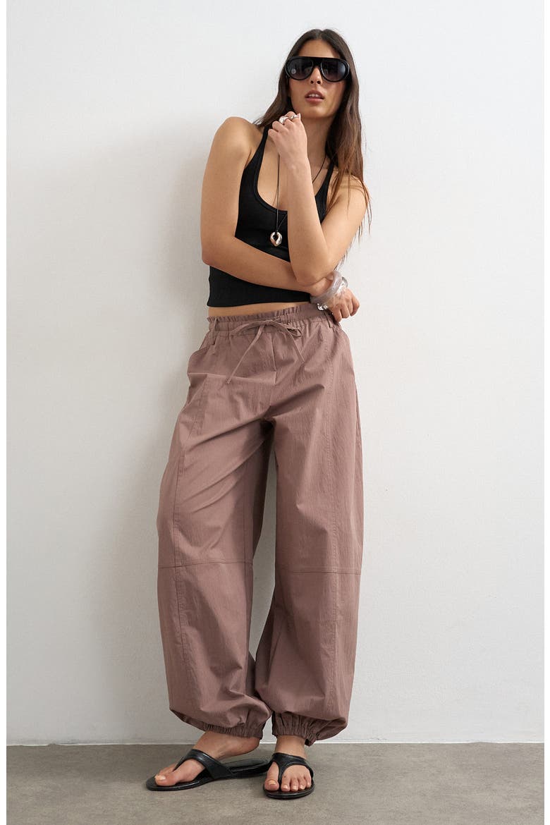 Tie Waist Elastic Cuff Pants, Alternate, color, BROWN