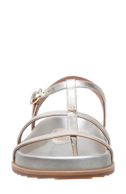 Shop Linea Paolo Lilith Ankle Strap Sandal
