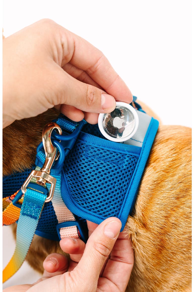 Atlas Cat Harness and Leash Set, Alternate, color, Atlas