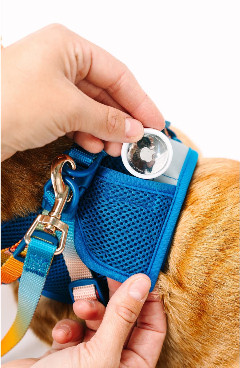 Pink Papyrus Atlas Cat Harness and Leash Set, Alternate, color, Atlas